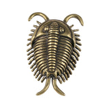 Maxbell Trilobites Ornament for Kids Mini Trilobite Decor for Cafe Shelf Living Room