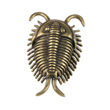 Maxbell Trilobites Ornament for Kids Mini Trilobite Decor for Cafe Shelf Living Room