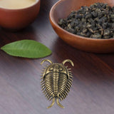 Maxbell Trilobites Ornament for Kids Mini Trilobite Decor for Cafe Shelf Living Room