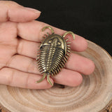 Maxbell Trilobites Ornament for Kids Mini Trilobite Decor for Cafe Shelf Living Room