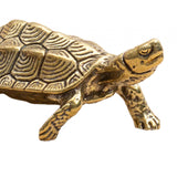 Maxbell Turtle Statue Sculpture Bookshelf Tea Pet for Tea Lovers Home Office Tearoom