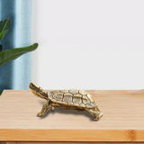 Maxbell Turtle Statue Sculpture Bookshelf Tea Pet for Tea Lovers Home Office Tearoom