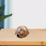 Maxbell Turtle Shell Keychain Pendant Good Luck Feng Shui Mini Turtle Shell Figurine