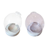 Maxbell Hydroponic Plant Pot Home Desk Desktop Glass Planter for Shelf Patio Balcony Clear
