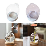 Maxbell Hydroponic Plant Pot Home Desk Desktop Glass Planter for Shelf Patio Balcony Clear
