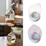 Maxbell Hydroponic Plant Pot Home Desk Desktop Glass Planter for Shelf Patio Balcony Clear