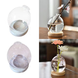 Maxbell Hydroponic Plant Pot Home Desk Desktop Glass Planter for Shelf Patio Balcony Clear