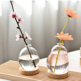 Maxbell Hydroponic Plant Pot Home Desk Desktop Glass Planter for Shelf Patio Balcony Clear