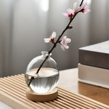 Maxbell Hydroponic Plant Pot Home Desk Desktop Glass Planter for Shelf Patio Balcony Clear