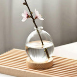 Maxbell Hydroponic Plant Pot Home Desk Desktop Glass Planter for Shelf Patio Balcony Clear