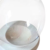 Maxbell Hydroponic Plant Pot Home Desk Desktop Glass Planter for Shelf Patio Balcony Clear