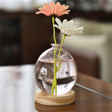 Maxbell Hydroponic Plant Pot Home Desk Desktop Glass Planter for Shelf Patio Balcony Pink