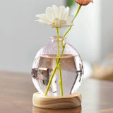 Maxbell Hydroponic Plant Pot Home Desk Desktop Glass Planter for Shelf Patio Balcony Pink