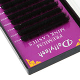 Black 12 Rows Eyelash Extension D Curl 0.15 Individual Semi Permanent 10mm