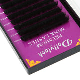 Black 12 Rows Eyelash Extension D Curl 0.15 Individual Semi Permanent 8mm