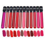 Maxbell Cosmetics Professional Matte Lipstick Set of 12 Colors Waterproof Lip Gloss