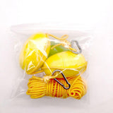 Maxbell High Strength Kayak Tow Rope Throw Line with Dual EVA Floats Clip Accessory