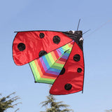Maxbell Delta Kite Fly Kite Huge Wingspan Triangle Ladybug Kite for Sports Garden