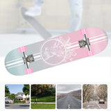 Maxbell Complete Skateboard for Beginners Women Man Teens Mute Boys Girls Maple StyleD