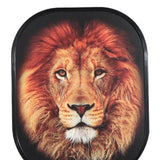 Maxbell Premium Pickleball Paddles Set Lightweight for Indoor and Outdoor Tournament Lion