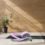 Maxbell Ab Roller Wheel Core Strength Training Equipment Exercise Abdominal Wheel Purple