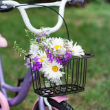 Maxbell Multifunction Bike Front Basket Removable for Bike Accessories Childs