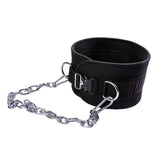 Maxbell Dip Belt with Chain Waist Support Gym Fitness Dipping Belt for Weightlifting Metal Buckle