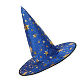 Kid's Wizard Hat Witch's Pointed Hat Halloween Fancy Dress Costume Rose Blue