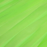 Maxbell Womens Casual Pleated Chiffon Shorts Culottes Wide Leg Mid Rise S Green