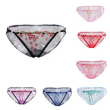 Maxbell Women Lace Mesh Flower Embroidered Underwear Low Rise Briefs Sexy Lingerie Black