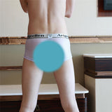 Maxbell Men's Breathable Mesh Stripe Low Waist Boxer Briefs Underwear Shorts L Purple