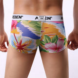 Maxbell Mens Sexy Sheer Mesh Net Underwear Boxer Briefs Flower Underpants XXL 1