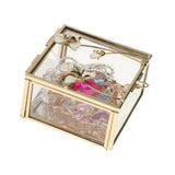 Maxbell Glass Jewelry Ring Earring Necklace Display Box Holder Storage Organizer