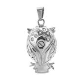 Maxbell Chubby Perched Crystal Owl Bird Memorial Keepsake Ash Urn Pendant Wife
