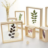 Creative double-sided glass specimen transparent wooden frame 13.7 x 13.7cm