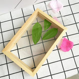 Creative double-sided glass specimen transparent wooden frame 15.7 x 15.7cm