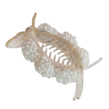 Maxbell Artificial Pearl Hair Clamps Hair Clips Hairpins Sturdy Decorative champagne