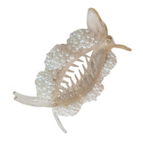 Maxbell Artificial Pearl Hair Clamps Hair Clips Hairpins Sturdy Decorative champagne