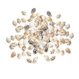 Maxbell 100x Sea Shells Natural Seashells for Theme Party Vase Fillers DIY Crafts