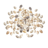 Maxbell 100x Sea Shells Natural Seashells for Theme Party Vase Fillers DIY Crafts