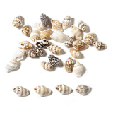 Maxbell 100x Sea Shells Natural Seashells for Theme Party Vase Fillers DIY Crafts