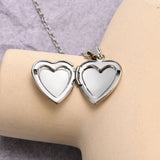 Maxbell Cute Pet Urn Pendant Waterproof Photo Locket Rustproof Fashion for Dog Cat Silver Pendant