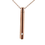 Maxbell Stainless Steel Memorial Urn Necklace Waterproof Charm Trendy for Xmas Rose Red and Chain