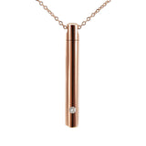 Maxbell Stainless Steel Memorial Urn Necklace Waterproof Charm Trendy for Xmas Rose Red and Chain