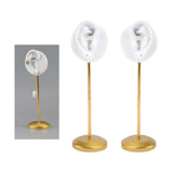 Maxbell Resin Ear Stud Holder Hanger Ear Model Durable for Home Salon Tabletop Left