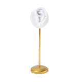 Maxbell Resin Ear Stud Holder Hanger Ear Model Durable for Home Salon Tabletop Right