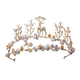 Maxbell Tiara and Crown Elegant Jeweled Costume Headbands for Birthday Party Prom Style G
