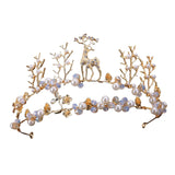 Maxbell Tiara and Crown Elegant Jeweled Costume Headbands for Birthday Party Prom Style G