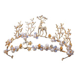 Maxbell Tiara and Crown Elegant Jeweled Costume Headbands for Birthday Party Prom Style G