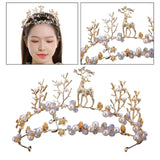 Maxbell Tiara and Crown Elegant Jeweled Costume Headbands for Birthday Party Prom Style G